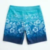 Hawaiian ombre board shorts back.