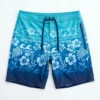 Hawaiian ombre board shorts front.